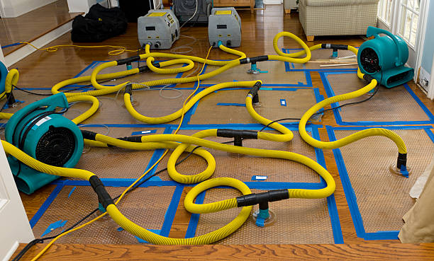 Professional Storm Water Damage Restoration technician working in Nitro, WV